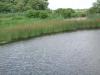 River at Dwyer Farm 8_thumb.jpg 2.0K